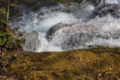 Прикрепленное изображение: IMG_7354.jpg